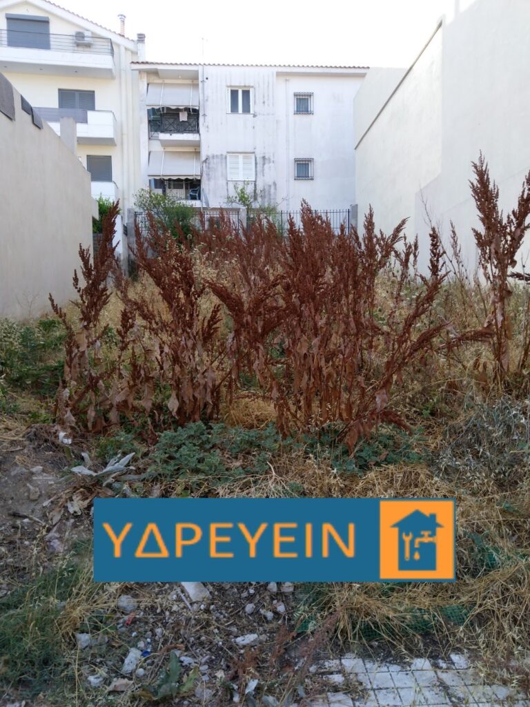 Κοπή Χόρτων