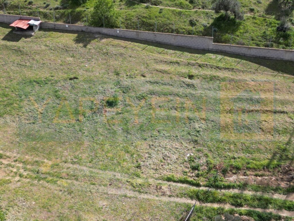 Κοπή Χόρτων